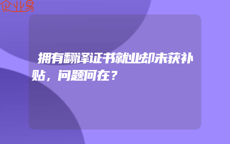 拥有翻译证书就业却未获补贴，问题何在？