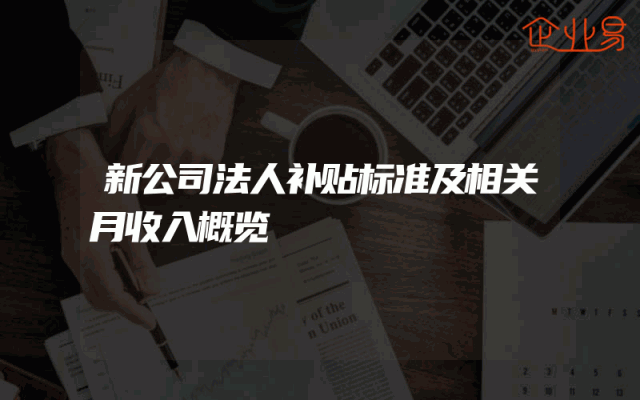 新公司法人补贴标准及相关月收入概览