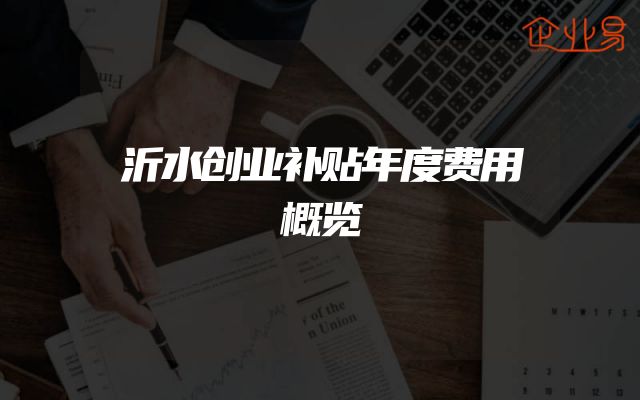 沂水创业补贴年度费用概览