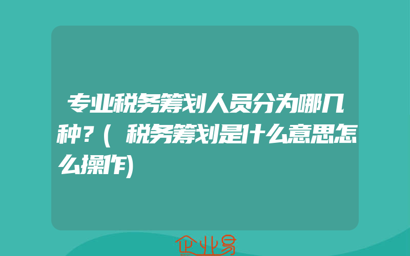 专业税务筹划人员分为哪几种？(税务筹划是什么意思怎么操作)