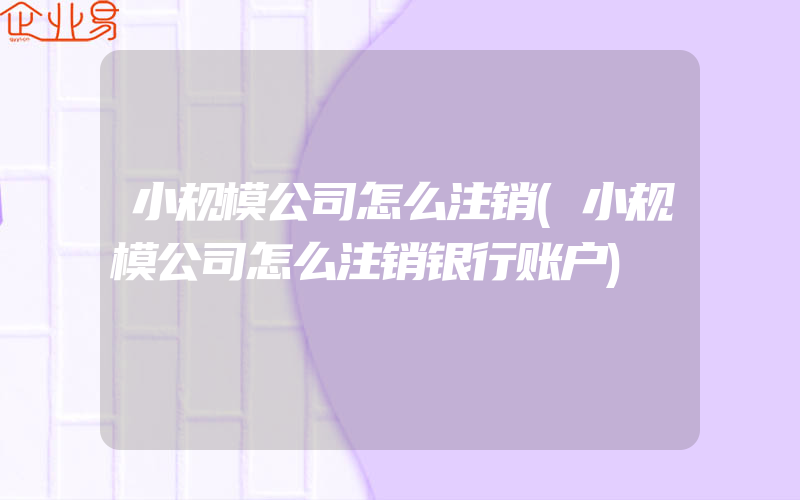 小规模公司怎么注销(小规模公司怎么注销银行账户)