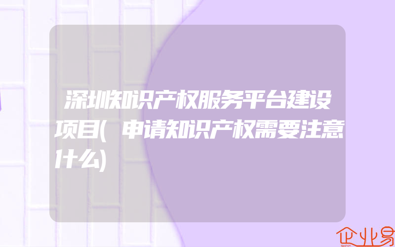 深圳知识产权服务平台建设项目(申请知识产权需要注意什么)