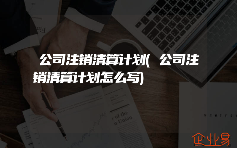 公司注销清算计划(公司注销清算计划怎么写)