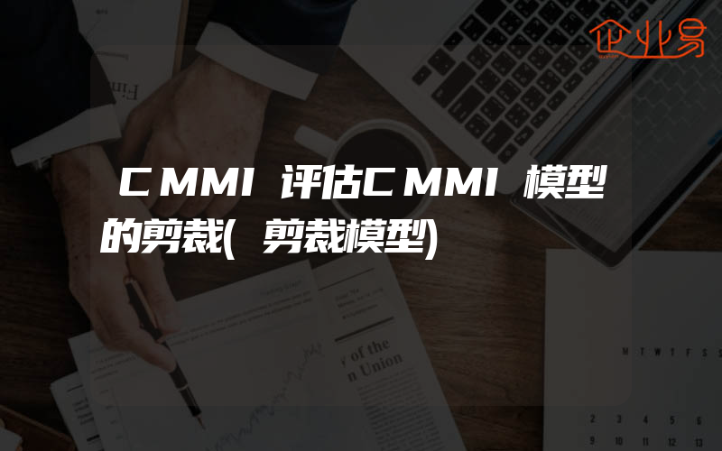 CMMI评估CMMI模型的剪裁(剪裁模型)