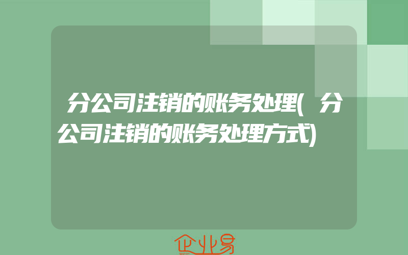 分公司注销的账务处理(分公司注销的账务处理方式)