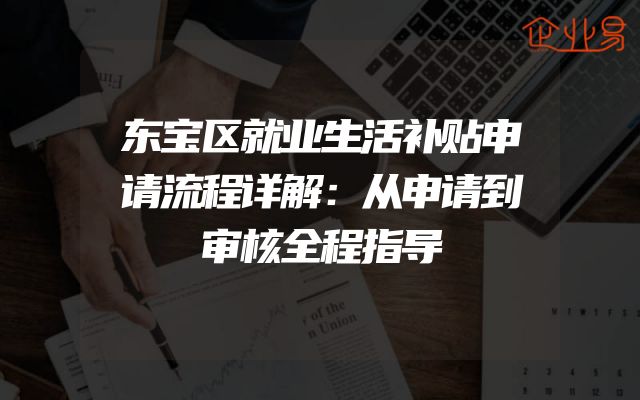 东宝区就业生活补贴申请流程详解：从申请到审核全程指导