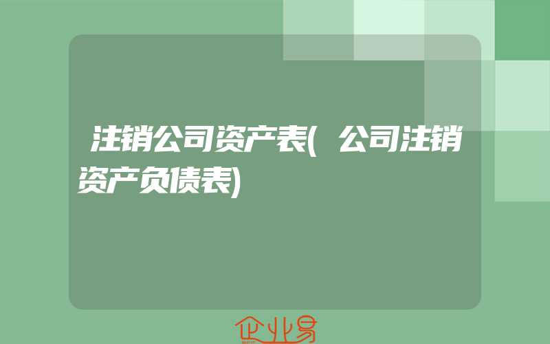 注销公司资产表(公司注销资产负债表)