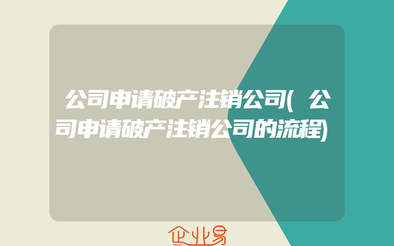 公司申请破产注销公司(公司申请破产注销公司的流程)