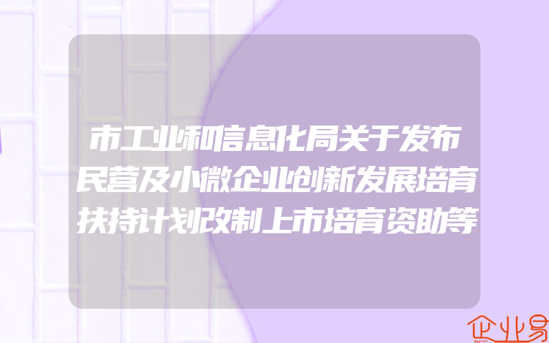 市工业和信息化局关于发布民营及小微企业创新发展培育扶持计划改制上市培育资助等项目申请指南的通知(政策介绍)