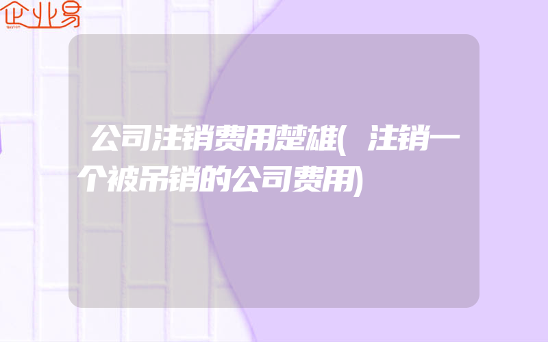 公司注销费用楚雄(注销一个被吊销的公司费用)