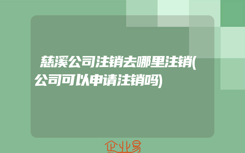 慈溪公司注销去哪里注销(公司可以申请注销吗)