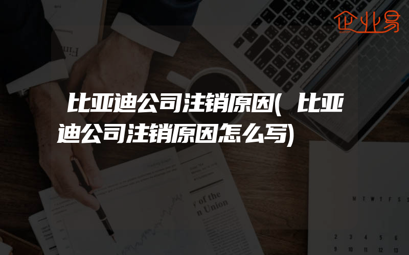 比亚迪公司注销原因(比亚迪公司注销原因怎么写)