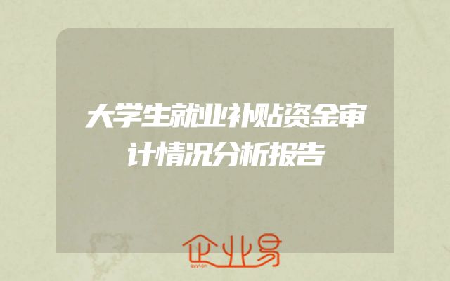 大学生就业补贴资金审计情况分析报告