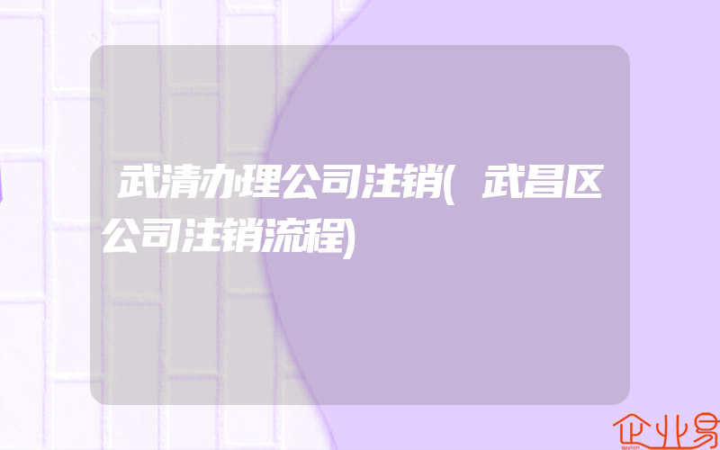 武清办理公司注销(武昌区公司注销流程)