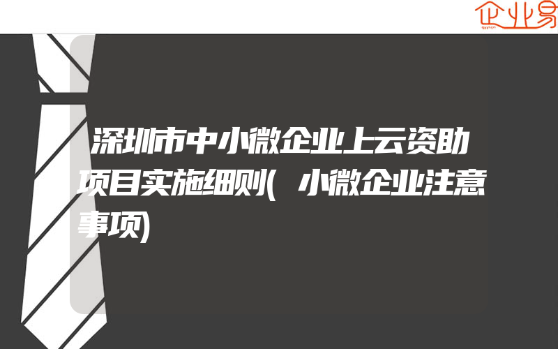 深圳市中小微企业上云资助项目实施细则(小微企业注意事项)