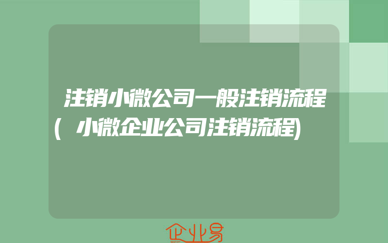 注销小微公司一般注销流程(小微企业公司注销流程)