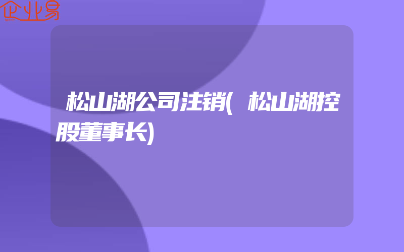 松山湖公司注销(松山湖控股董事长)