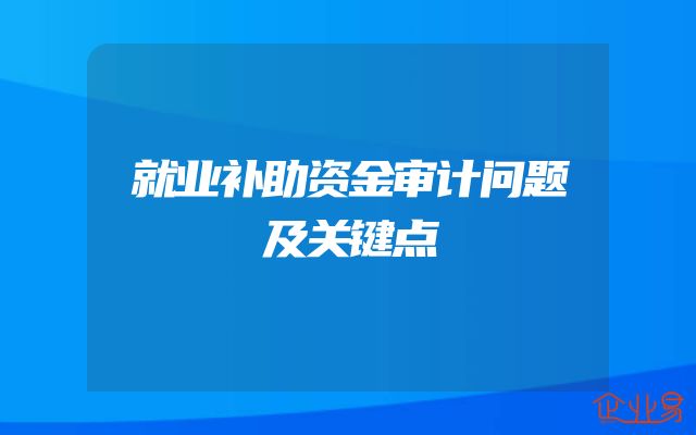 就业补助资金审计问题及关键点