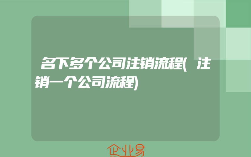 名下多个公司注销流程(注销一个公司流程)