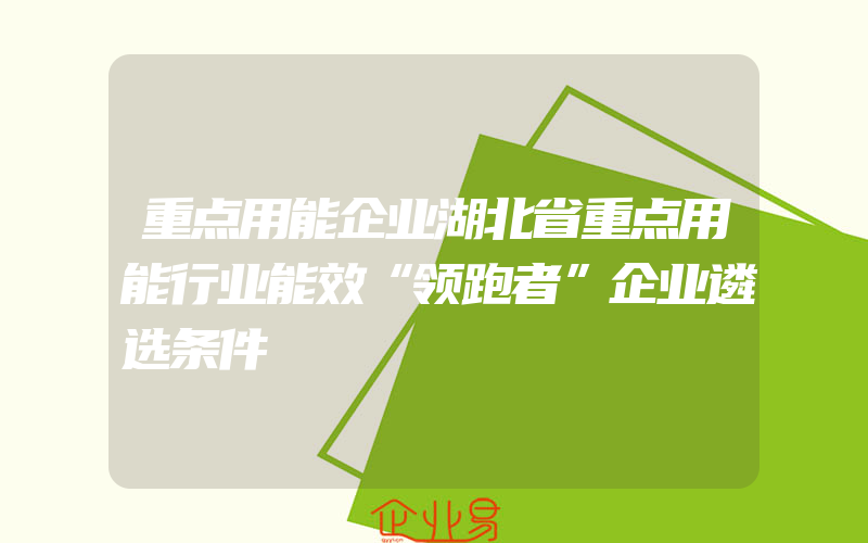 重点用能企业湖北省重点用能行业能效“领跑者”企业遴选条件