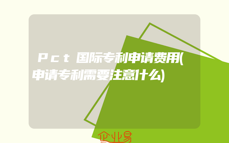 Pct国际专利申请费用(申请专利需要注意什么)