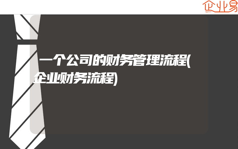 一个公司的财务管理流程(企业财务流程)