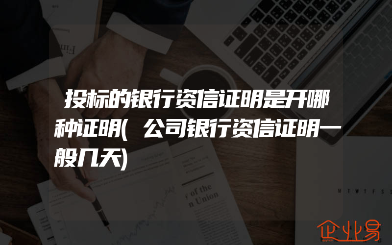 投标的银行资信证明是开哪种证明(公司银行资信证明一般几天)