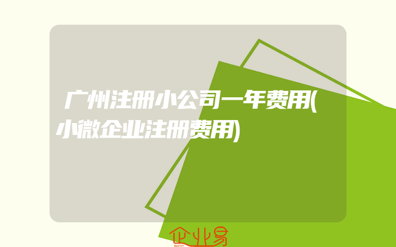 广州注册小公司一年费用(小微企业注册费用)
