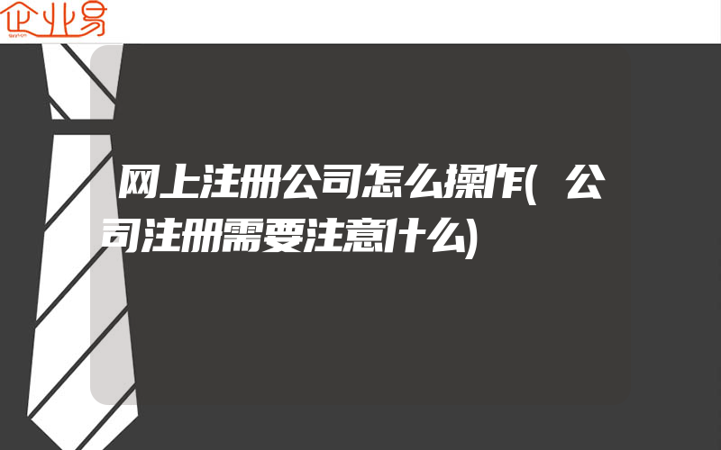 网上注册公司怎么操作(公司注册需要注意什么)