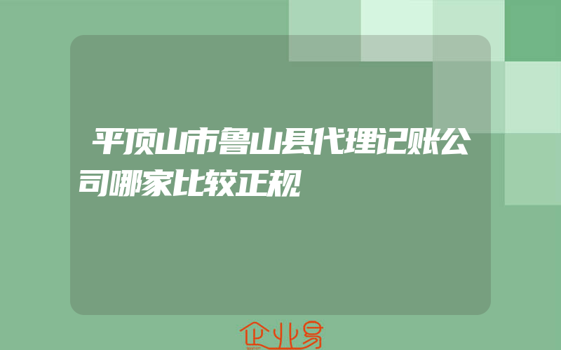 平顶山市鲁山县代理记账公司哪家比较正规