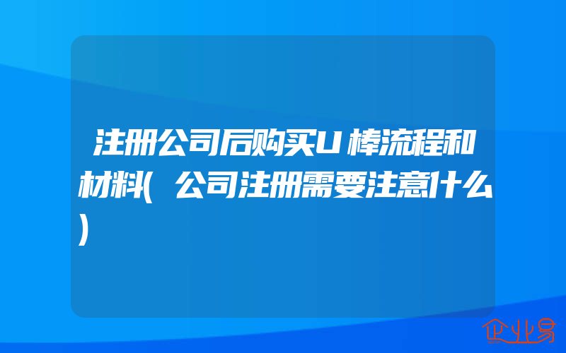 注册公司后购买U棒流程和材料(公司注册需要注意什么)