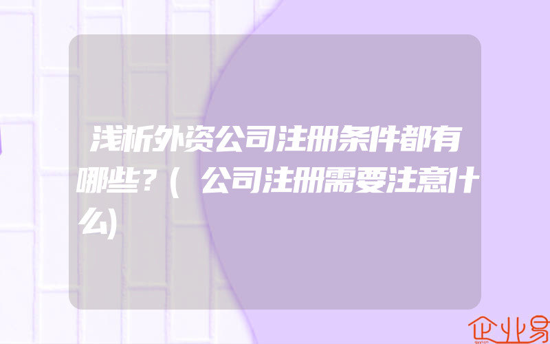 浅析外资公司注册条件都有哪些？(公司注册需要注意什么)