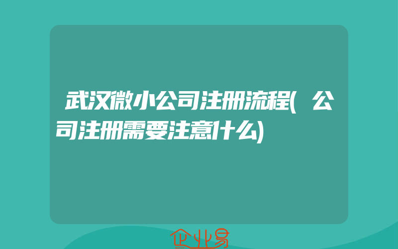 武汉微小公司注册流程(公司注册需要注意什么)