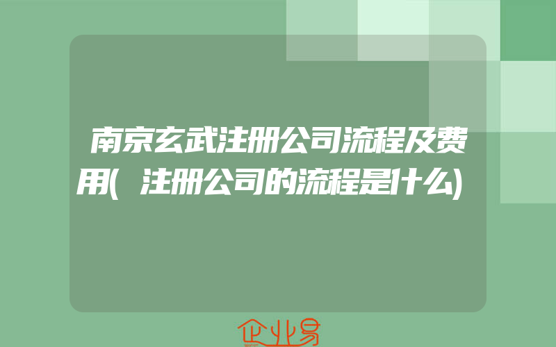 南京玄武注册公司流程及费用(注册公司的流程是什么)