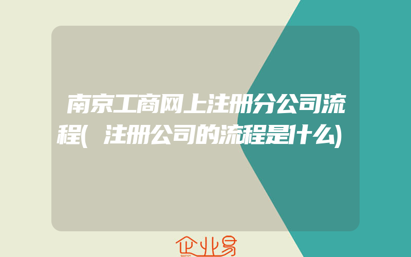 南京工商网上注册分公司流程(注册公司的流程是什么)