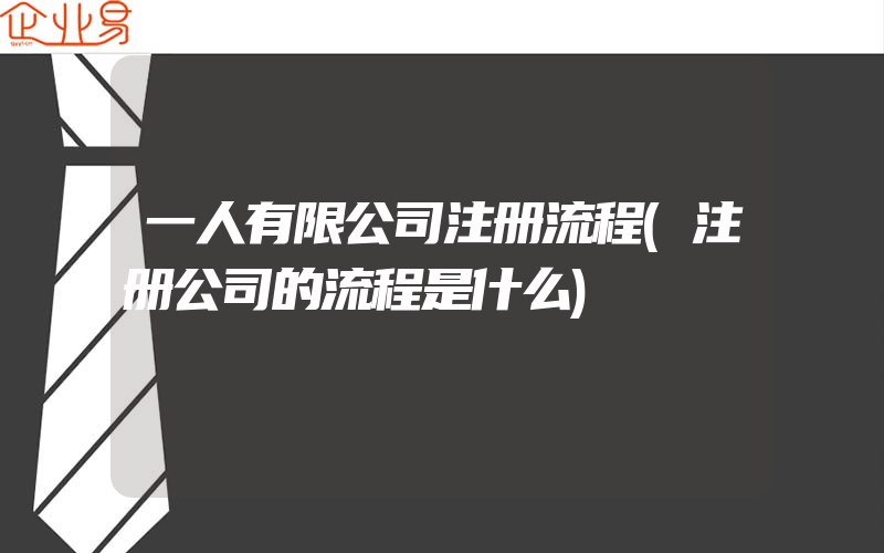 一人有限公司注册流程(注册公司的流程是什么)