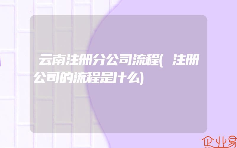 云南注册分公司流程(注册公司的流程是什么)