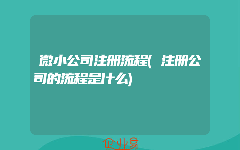 微小公司注册流程(注册公司的流程是什么)