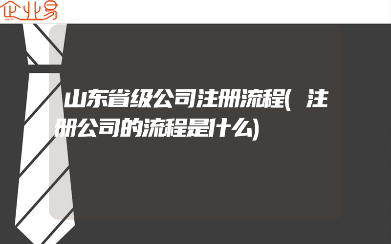 山东省级公司注册流程(注册公司的流程是什么)