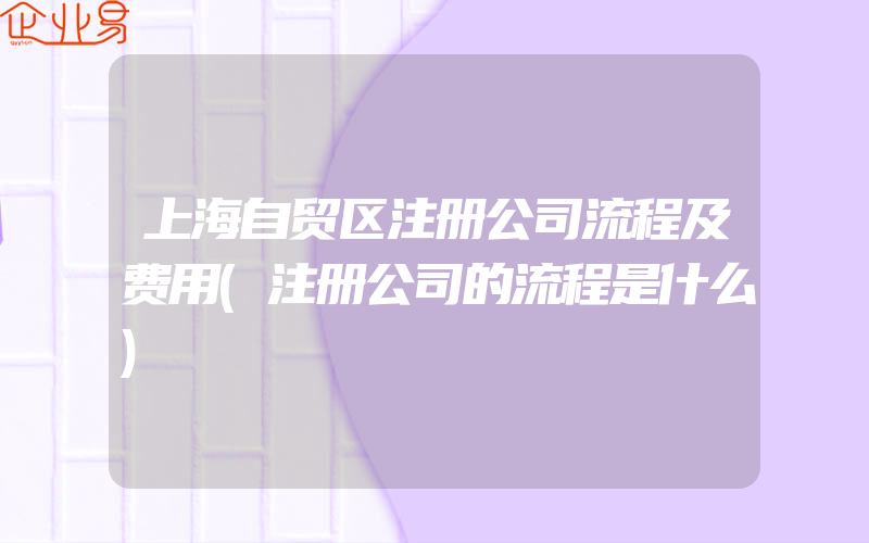 上海自贸区注册公司流程及费用(注册公司的流程是什么)
