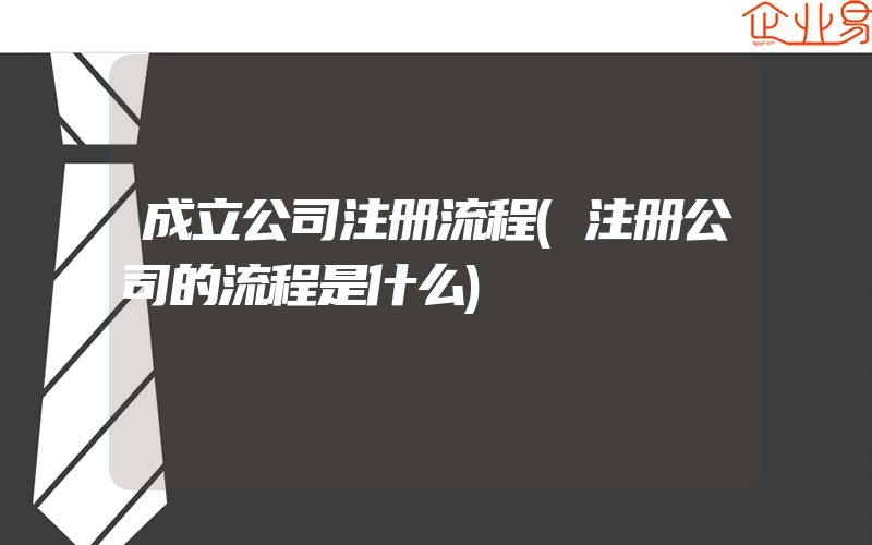 成立公司注册流程(注册公司的流程是什么)