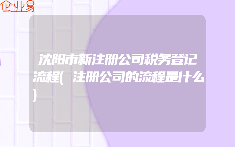 沈阳市新注册公司税务登记流程(注册公司的流程是什么)