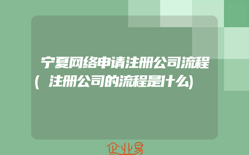 宁夏网络申请注册公司流程(注册公司的流程是什么)