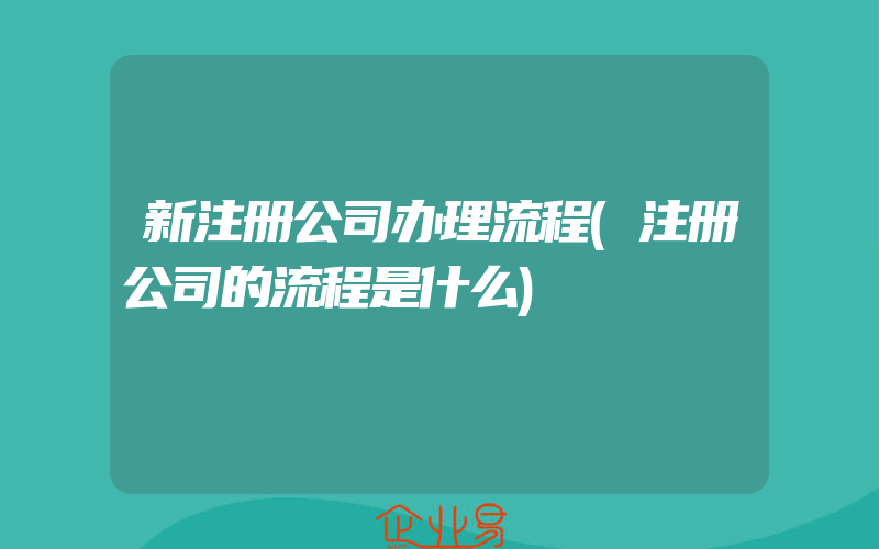 新注册公司办理流程(注册公司的流程是什么)