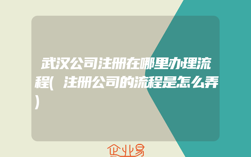 武汉公司注册在哪里办理流程(注册公司的流程是怎么弄)