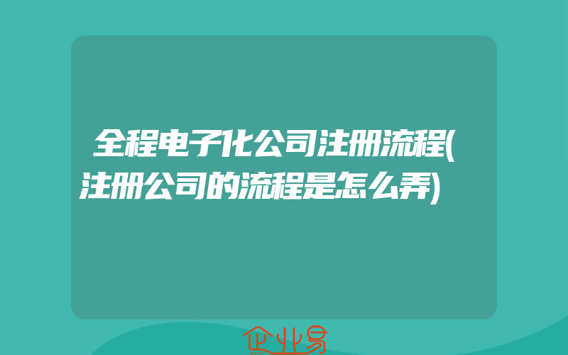 全程电子化公司注册流程(注册公司的流程是怎么弄)