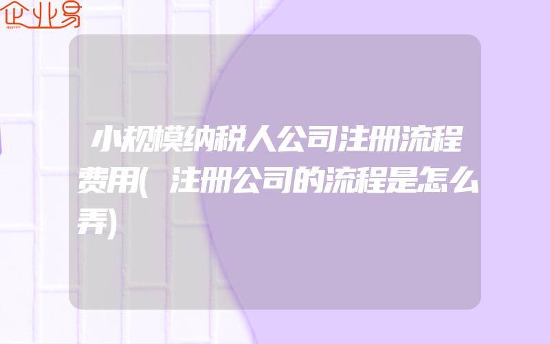 小规模纳税人公司注册流程费用(注册公司的流程是怎么弄)