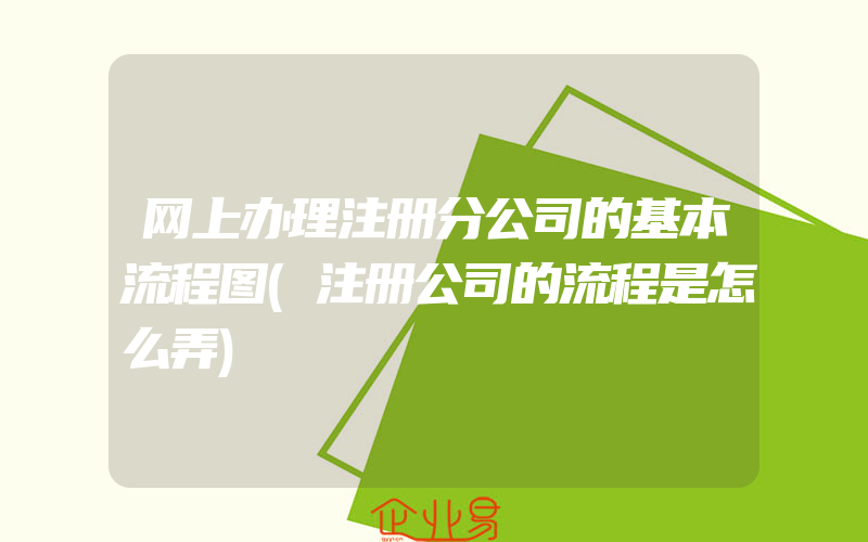 网上办理注册分公司的基本流程图(注册公司的流程是怎么弄)