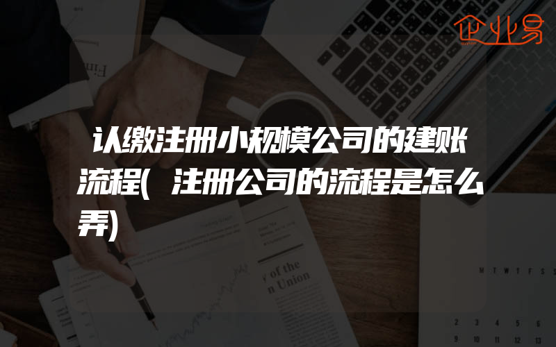 认缴注册小规模公司的建账流程(注册公司的流程是怎么弄)