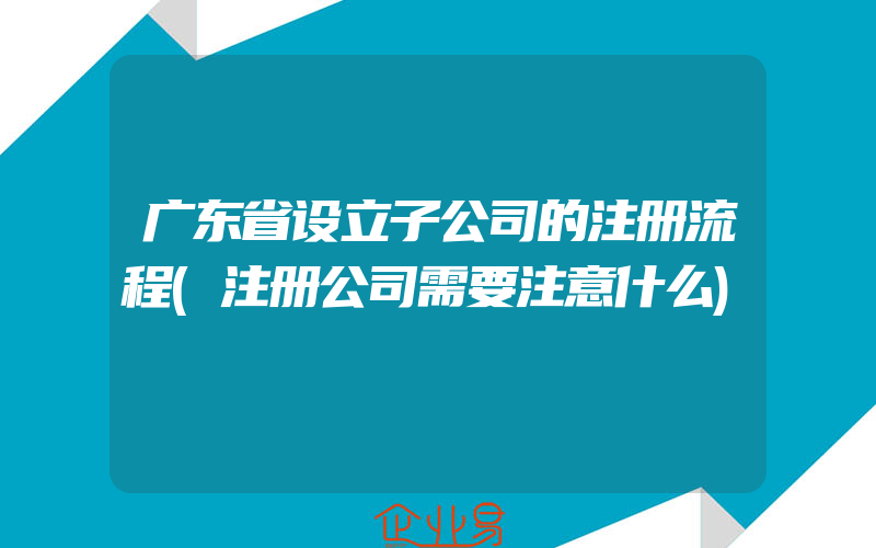 广东省设立子公司的注册流程(注册公司需要注意什么)